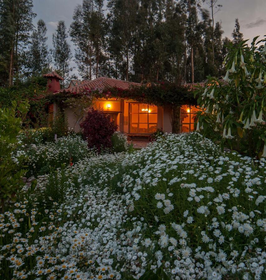 Willka T'Ika Hotell Urubamba Eksteriør bilde